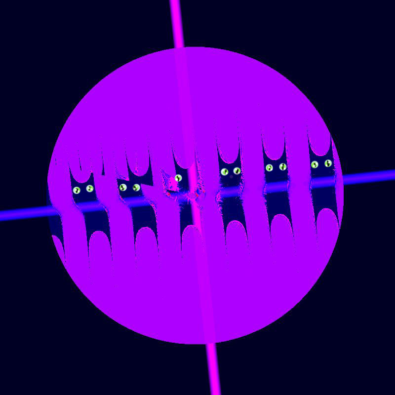 2011-10-02 fractal cats 2 copy