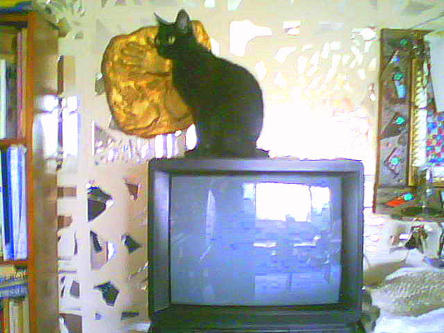 blackie dec1 2006b edited